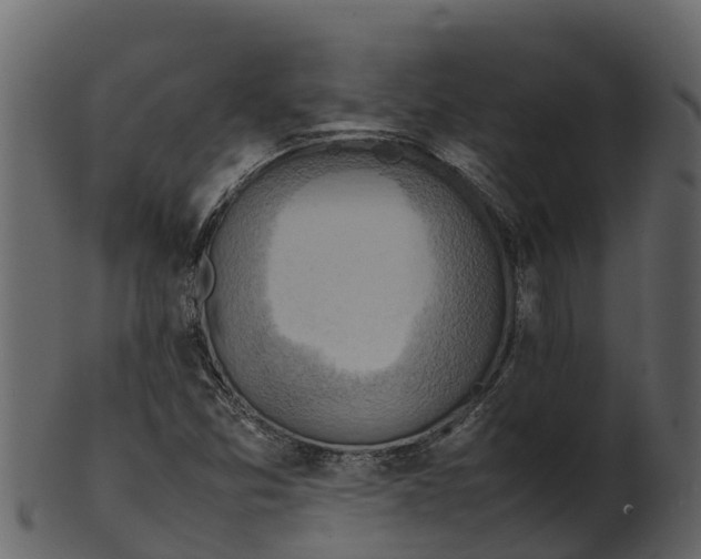 X0000100481357200807031842