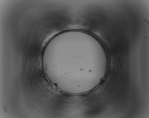 X0000100481358200807031841