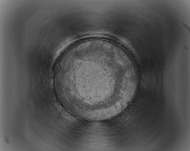 X0000100481360200807031841