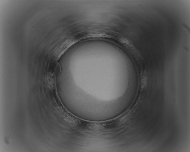 X0000100481361200807031841