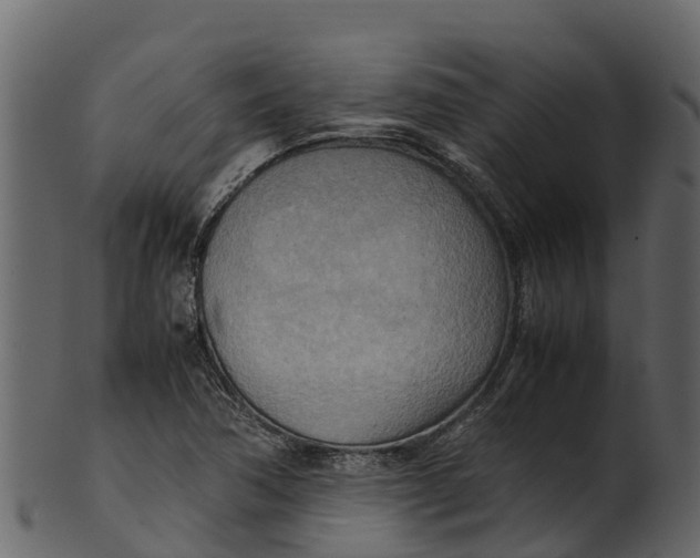 X0000100481362200807031841