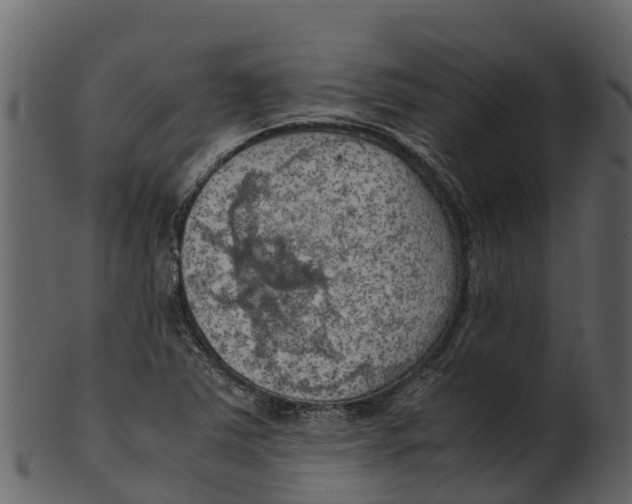 X0000100481363200807031841