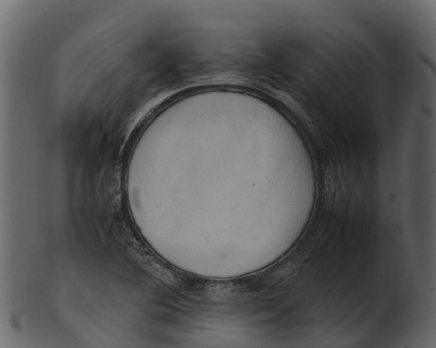 X0000100481364200807031841