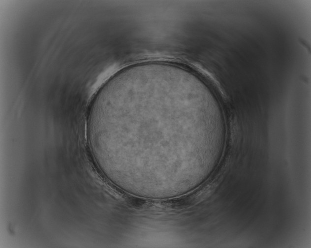 X0000100481365200807031841