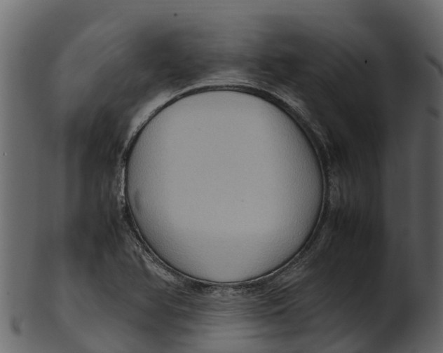 X0000100481366200807031841