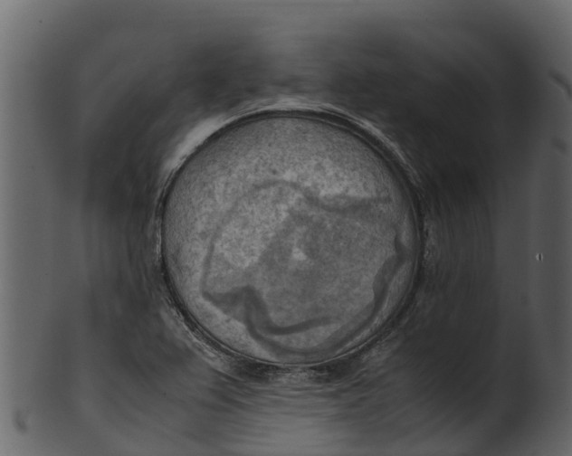 X0000100481367200807031841