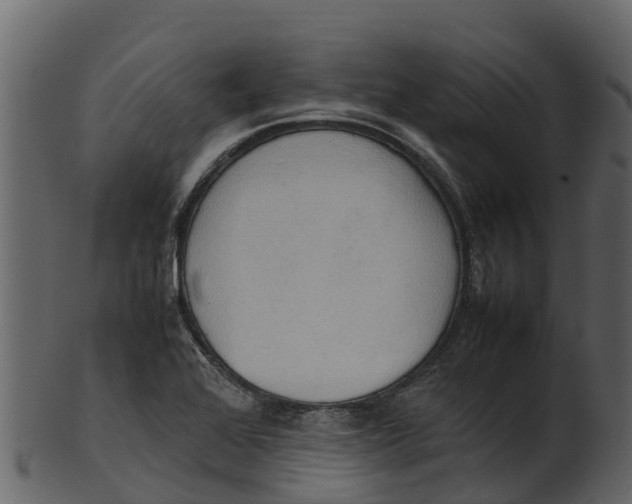 X0000100481368200807031841