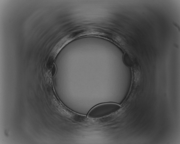 X0000100481369200807031841