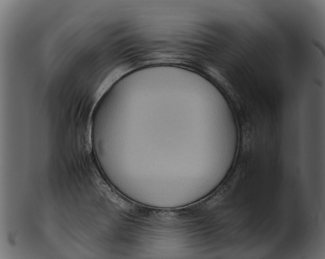 X0000100481370200807031841