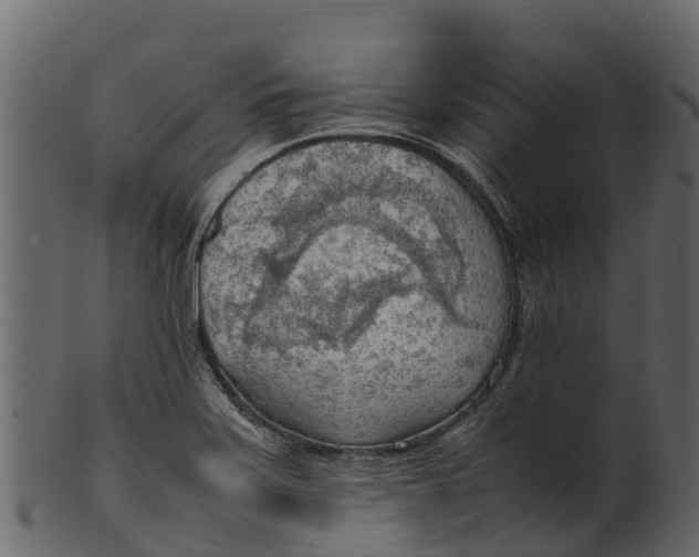 X0000100481371200807031841