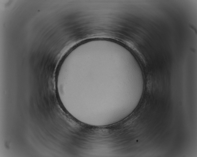 X0000100481372200807031841