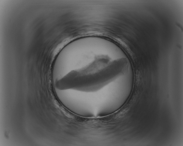 X0000100481373200807031841