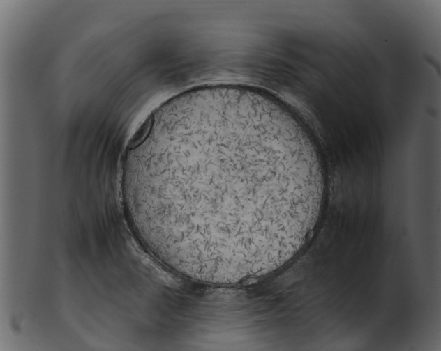 X0000100481374200807031841