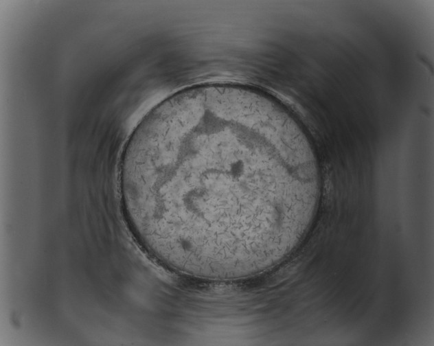 X0000100481375200807031841