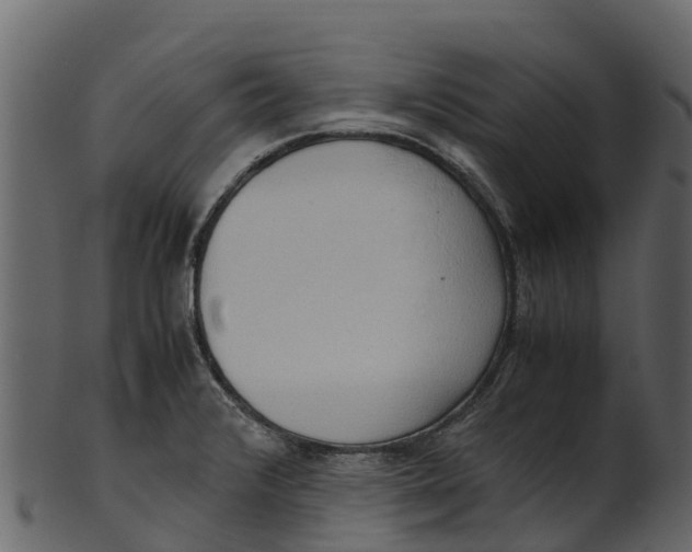 X0000100481376200807031841