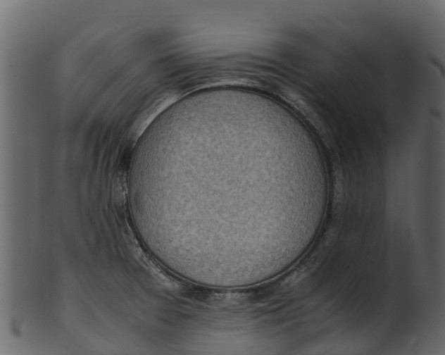 X0000100481377200807031841