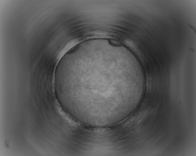 X0000100481378200807031841