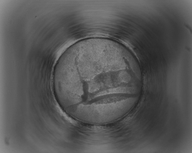 X0000100481379200807031841