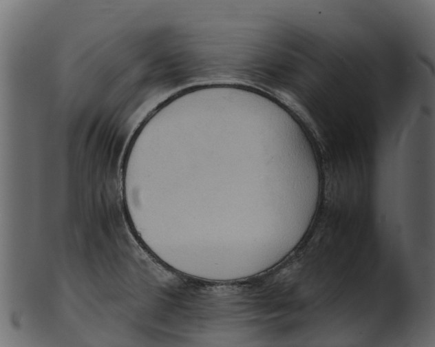 X0000100481380200807031841