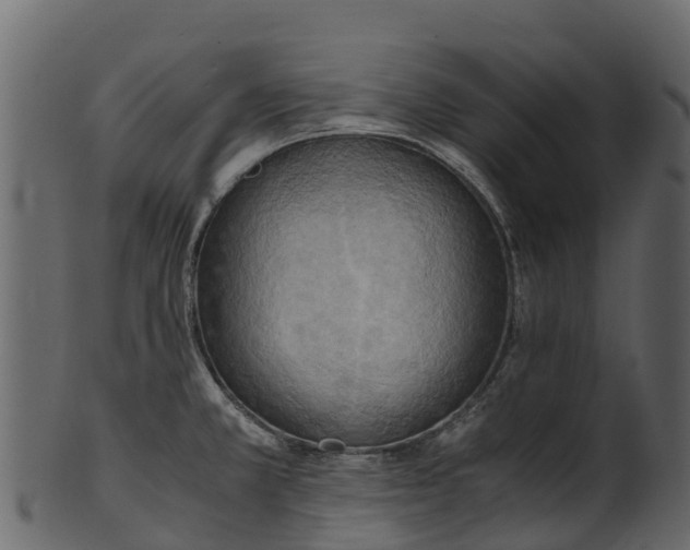 X0000100481381200807031841