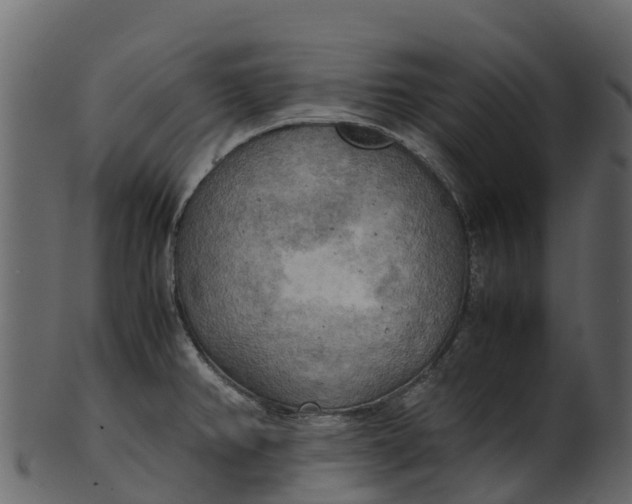 X0000100481382200807031841