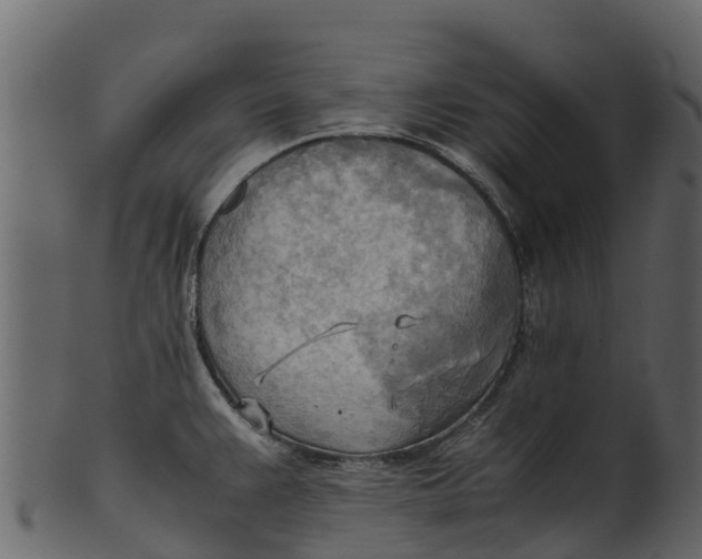 X0000100481383200807031841