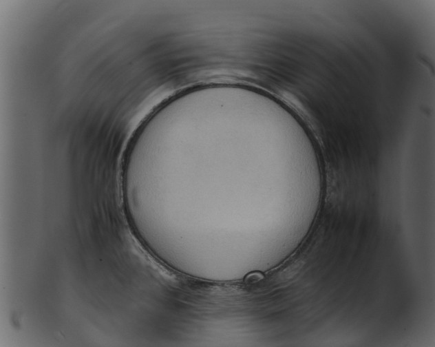 X0000100481384200807031841