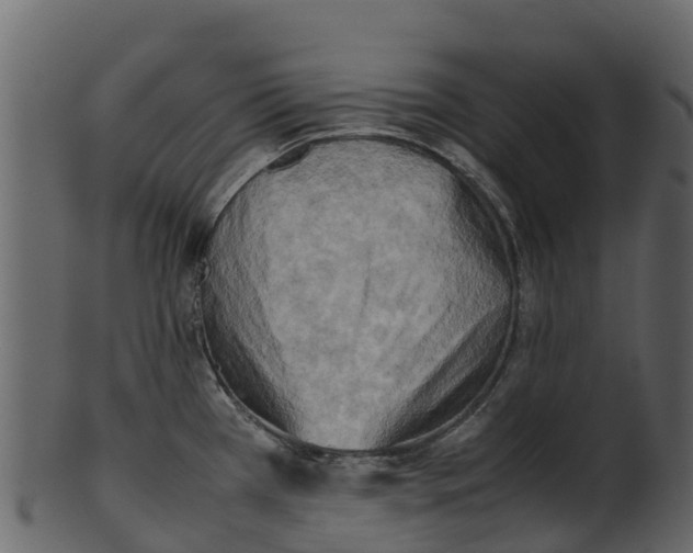 X0000100481385200807031841