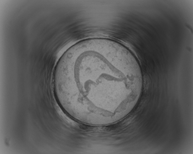 X0000100481387200807031841