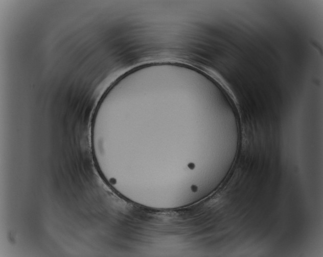 X0000100481388200807031841