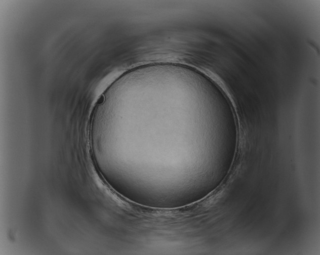 X0000100481389200807031841