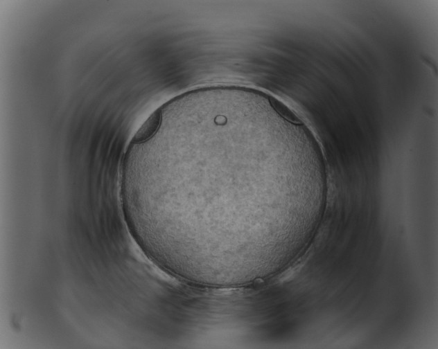 X0000100481390200807031841