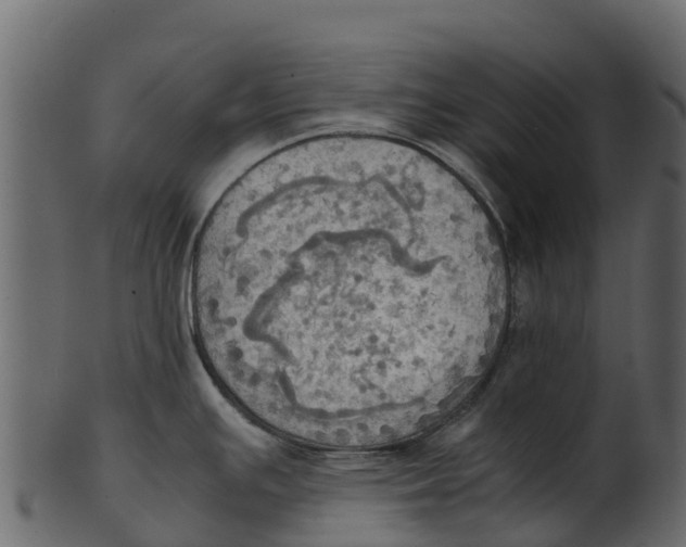 X0000100481391200807031841