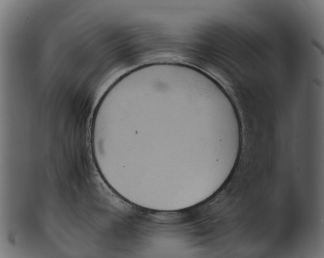 X0000100481392200807031841