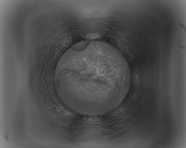 X0000100481393200807031840