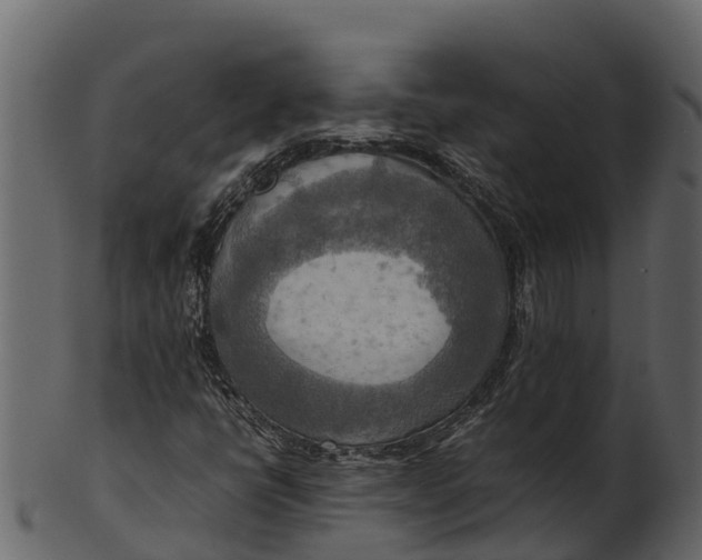 X0000100481398200807031840