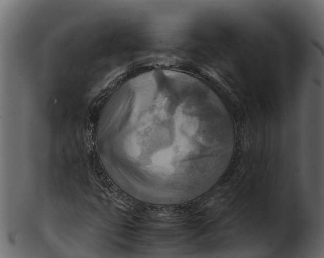 X0000100481399200807031840