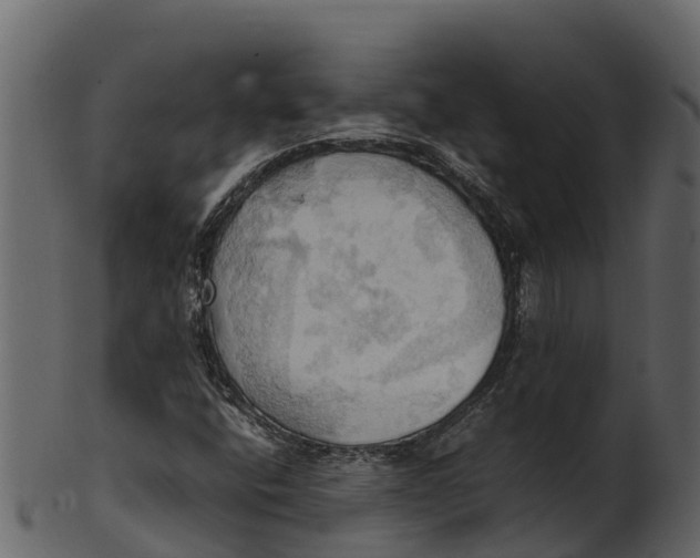 X0000100481400200807031840