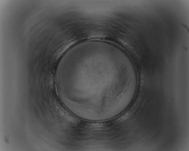 X0000100481401200807031840