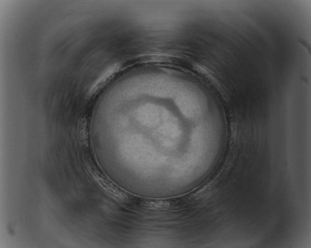 X0000100481403200807031840