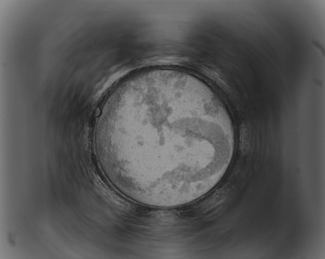 X0000100481404200807031840