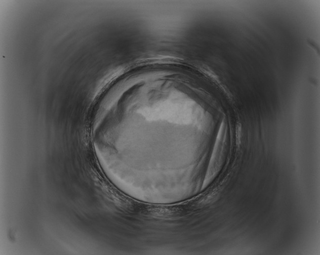 X0000100481405200807031841