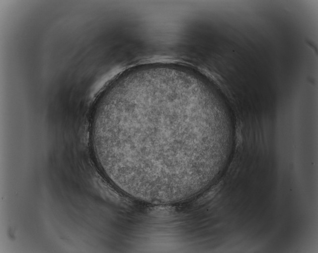 X0000100481406200807031841