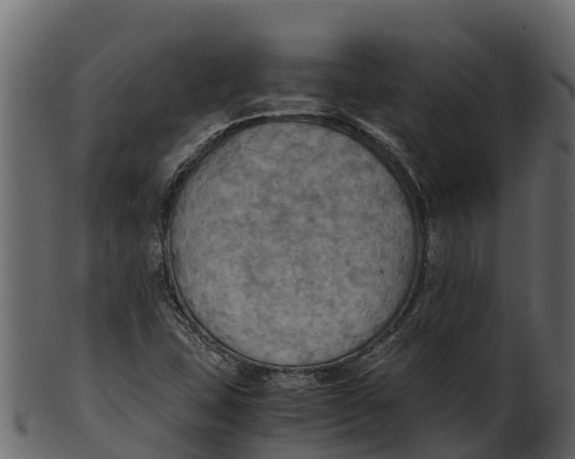 X0000100481407200807031841