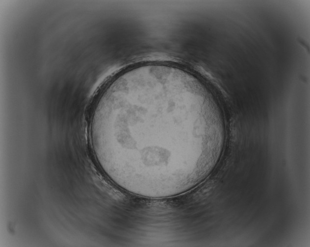 X0000100481408200807031841