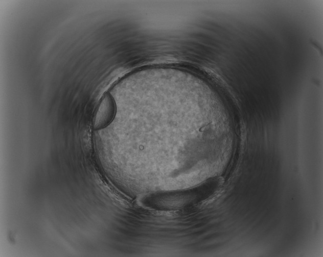 X0000100481409200807031841