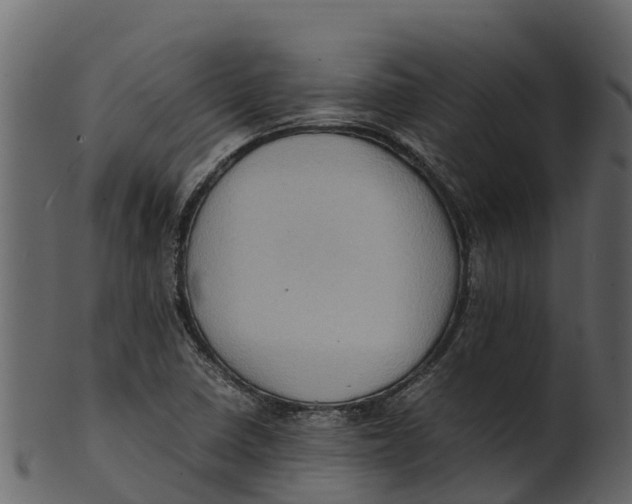 X0000100481410200807031841