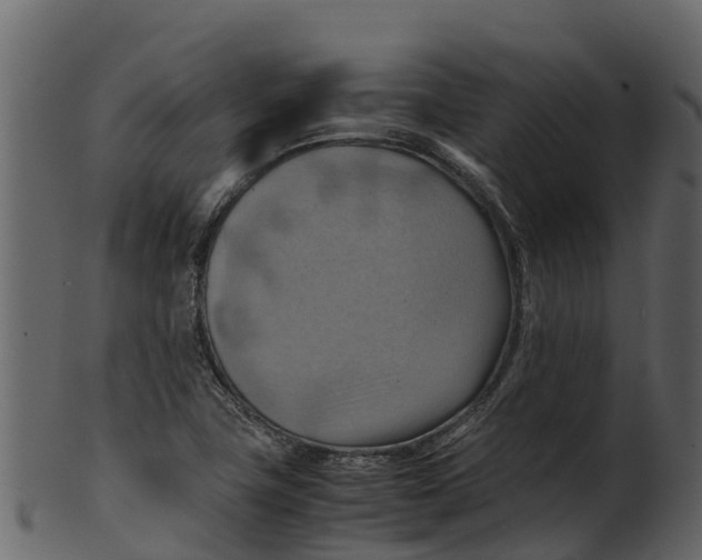 X0000100481411200807031841