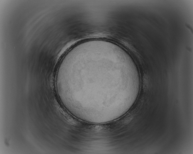 X0000100481412200807031841