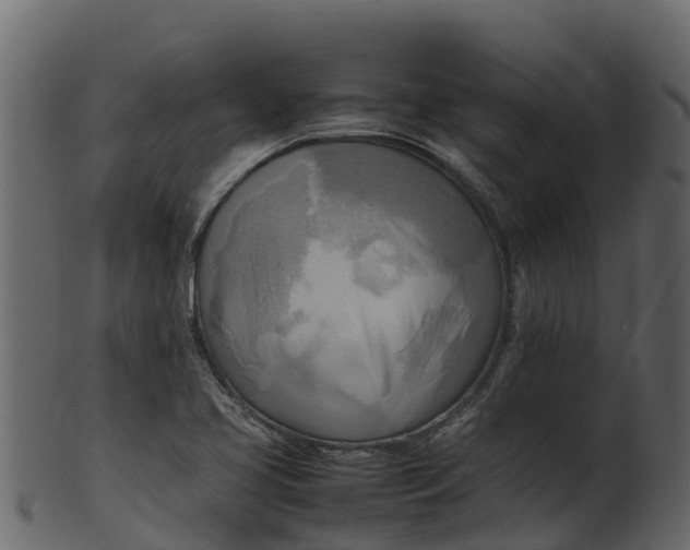 X0000100481413200807031841